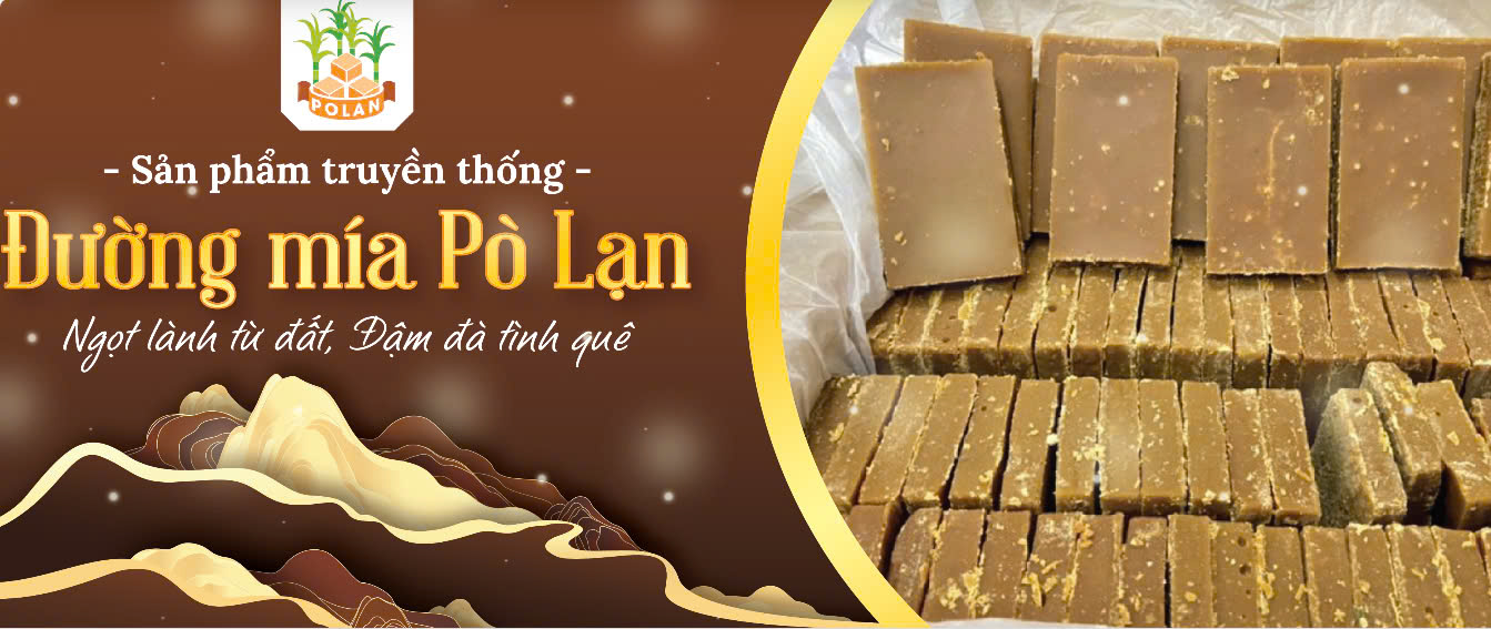 Đang cập nhật
