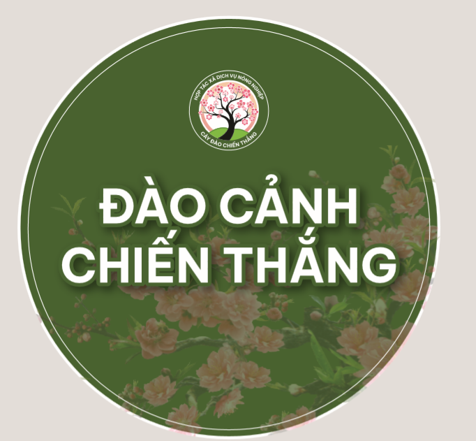 Đào cảnh Chiến Thắng