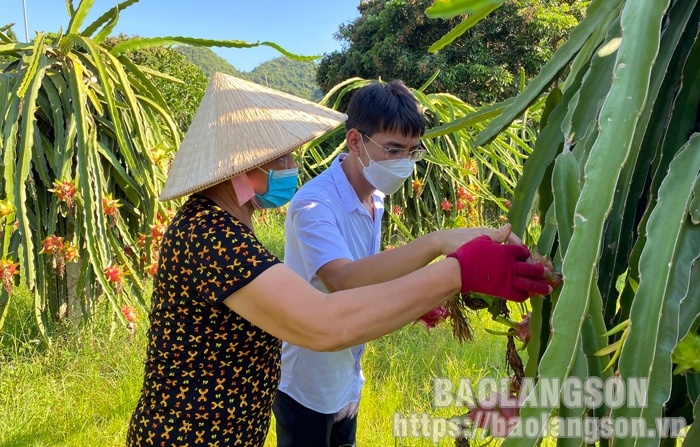 Hình ảnh sản phẩm OCOP