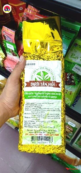 Chè dưới tán Hồi Bình Gia - Lạng Sơn