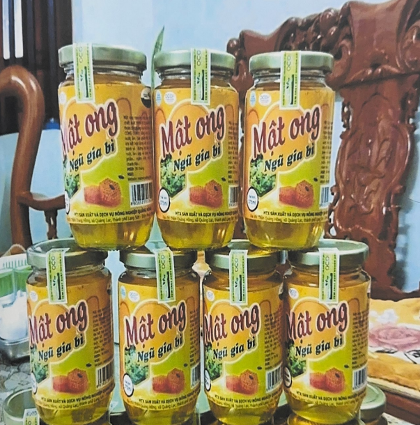 Mật ong ngũ gia bì