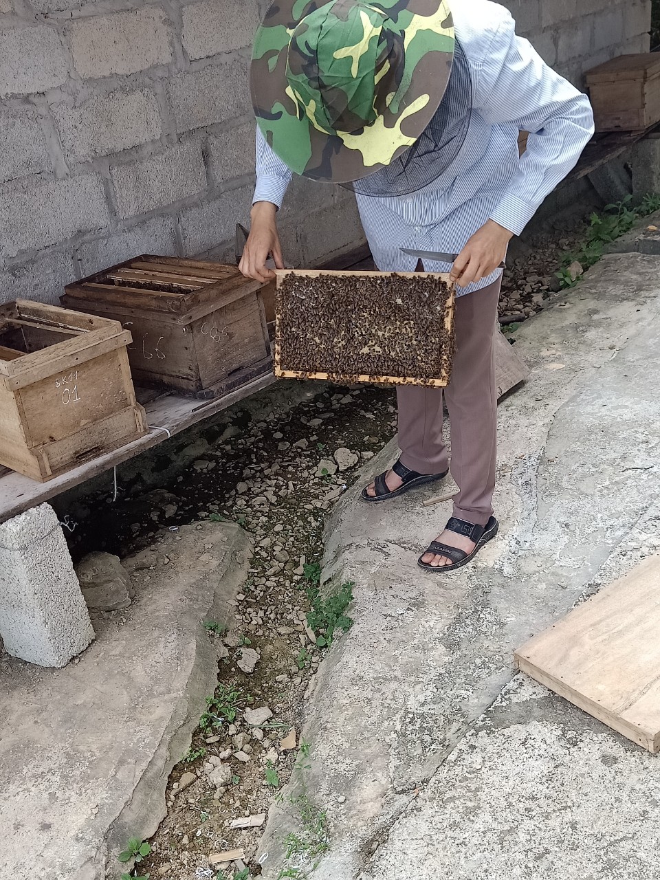 Hình ảnh sản phẩm OCOP