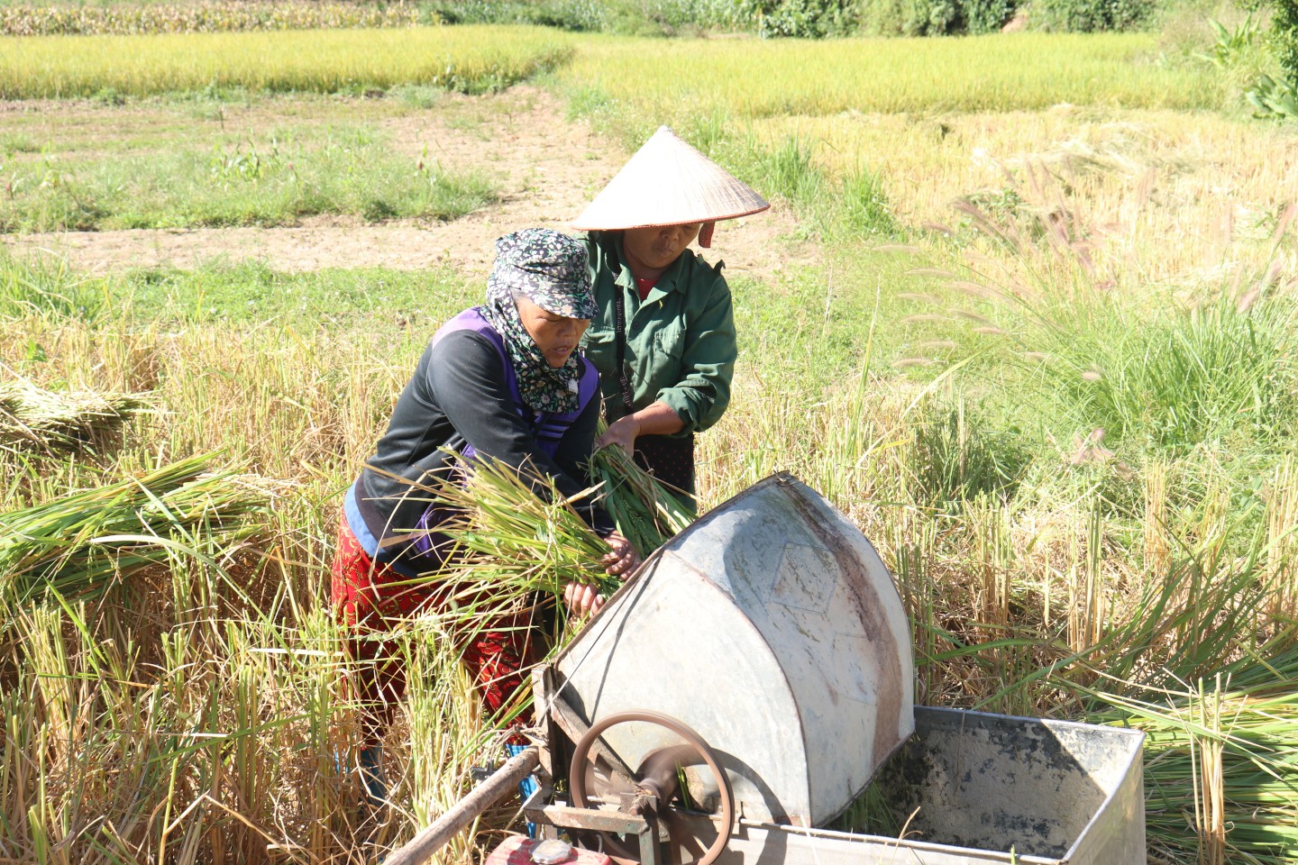 Hình ảnh sản phẩm OCOP