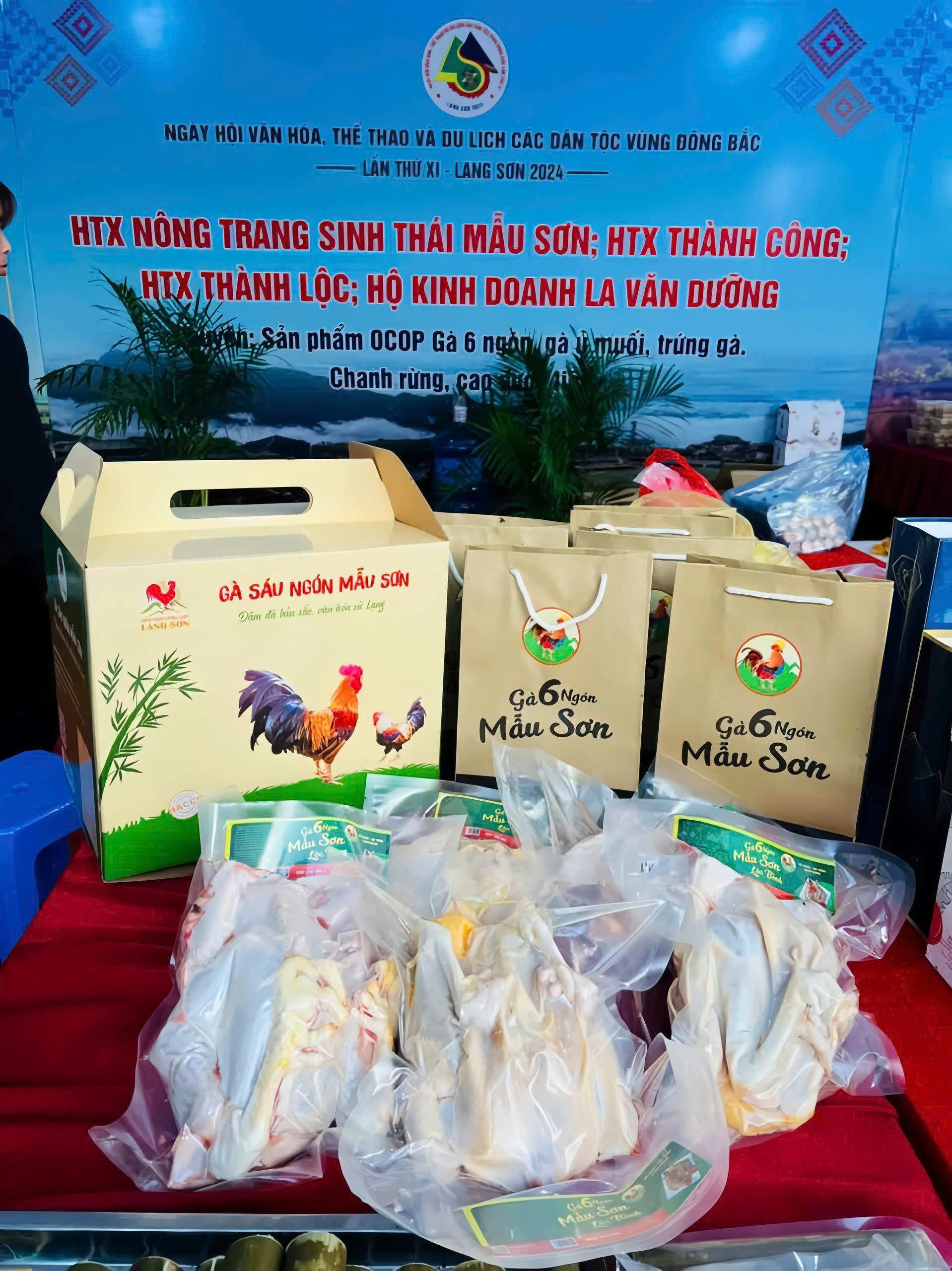 Gà 6 ngón Mẫu Sơn Lộc Bình
