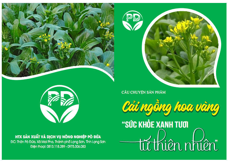 Hình ảnh sản phẩm OCOP
