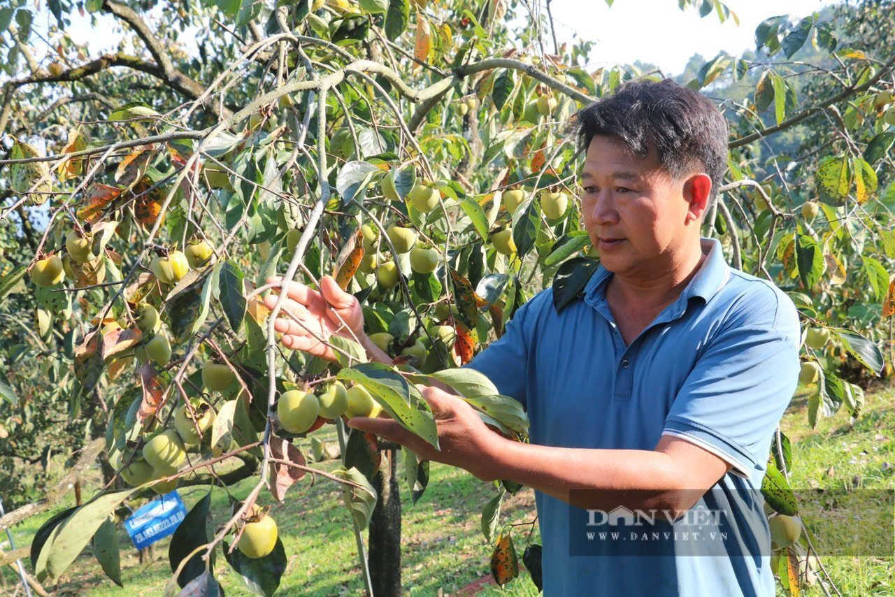 Báo Lạng Sơn