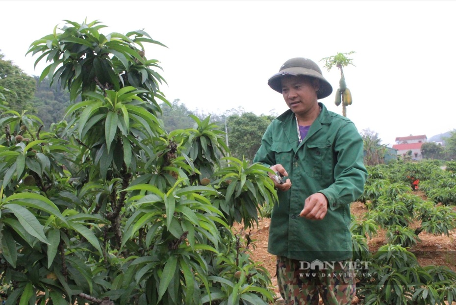 Báo Lạng Sơn