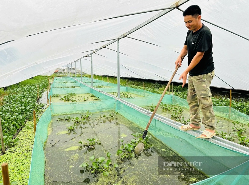 Báo Lạng Sơn