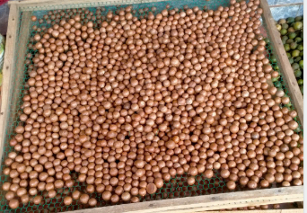 Hình ảnh sản phẩm OCOP