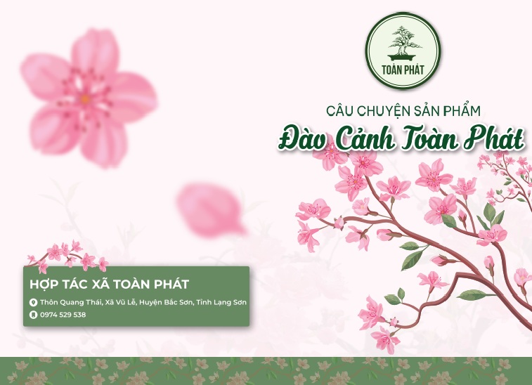 Hình ảnh sản phẩm OCOP