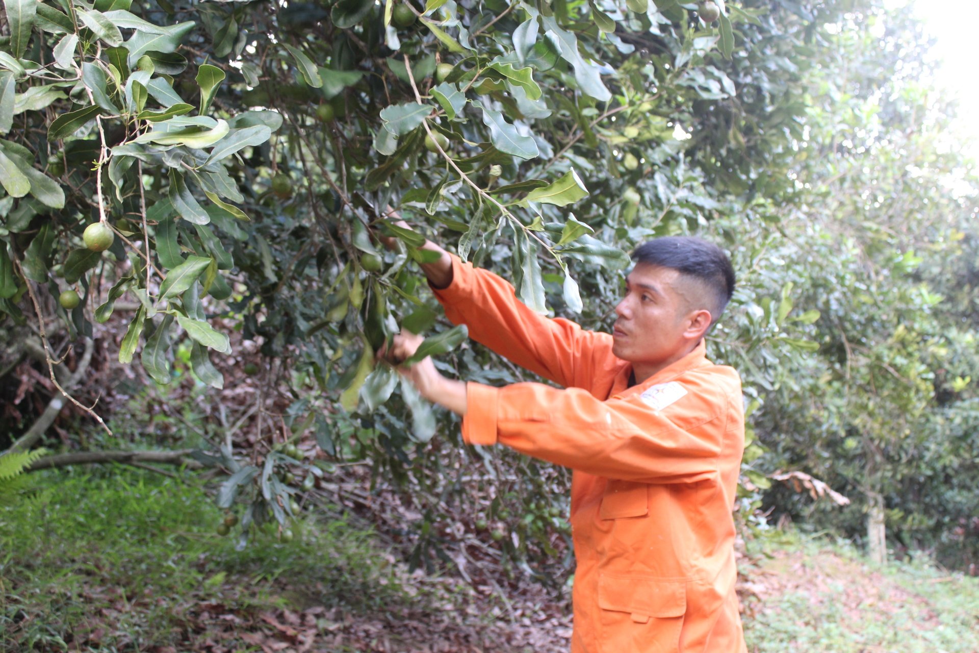 Báo Lạng Sơn